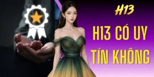 H13 Có Uy Tín Không