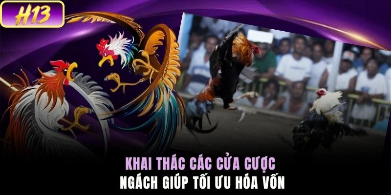 Khai thác các cửa cược ngách giúp tối ưu hóa vốn