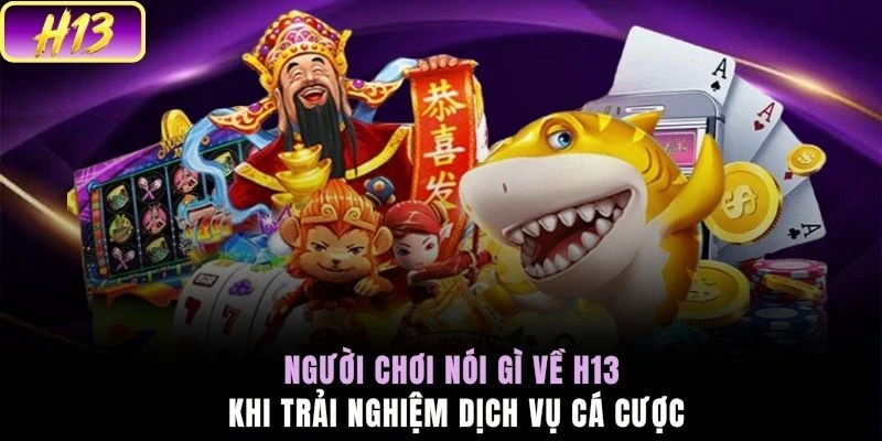 Người chơi nói gì về H13 khi trải nghiệm dịch vụ cá cược 