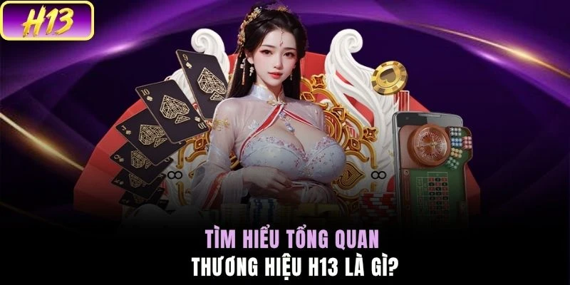 Tìm hiểu tổng quan thương hiệu H13 là gì?